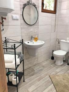 W łazience znajduje się umywalka, toaleta i lustro. w obiekcie Świerkowy domek w Boszkowie