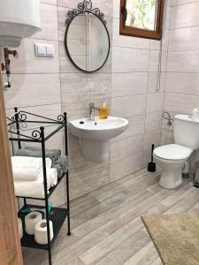 a bathroom with a sink and a toilet and a mirror at Świerkowy domek in Boszkowo