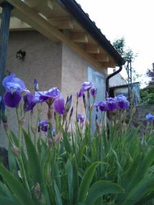 Fotografie z fotogalerie ubytování Casa Rural Marem v destinaci El Rasillo