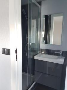 uma casa de banho com um lavatório e uma cabina de duche em vidro. em Bed-on-a-Boat em Giethoorn