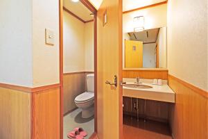 a bathroom with a toilet and a sink and a mirror at Suzuranso in Komagane