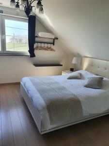 Un dormitorio con una cama grande y una ventana en B&B Kanegem Onverbloemd, en Tielt