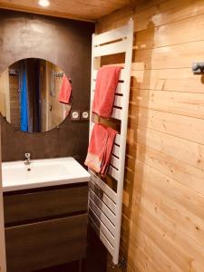 bagno con lavandino e specchio di Le duplex De La Ferme Du Tertre a Villers-au-Tertre