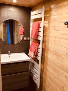 La salle de bains est pourvue d'un lavabo et d'un miroir. dans l'établissement Le duplex De La Ferme Du Tertre, à Villers-au-Tertre