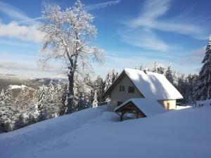 a house covered in snow on top of a mountain at Chata Wostry in Bílá