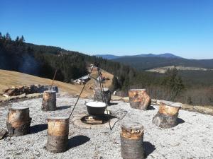 a group of logs and a grill on a mountain at Chata Wostry in Bílá