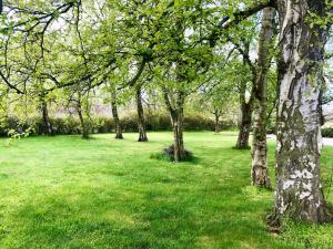 Un jardín fuera de HEMMET Simrishamns vandrarhem och B&B