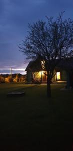a tree in front of a house with the lights on at Zielona Mila Dom Wakacyjny in Cekcyn
