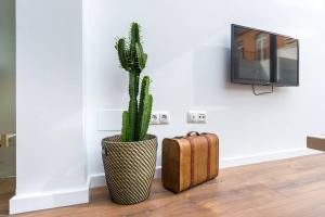 A television and/or entertainment centre at TGH/ Málaga center western style
