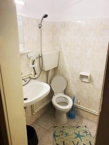 a small bathroom with a toilet and a sink at Motel Hanul Balota in Drobeta-Turnu Severin