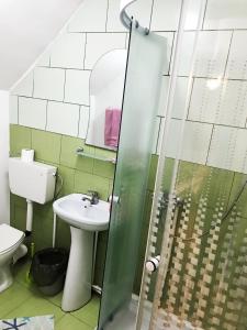 a bathroom with a sink and a toilet and a shower at Motel Hanul Balota in Drobeta-Turnu Severin