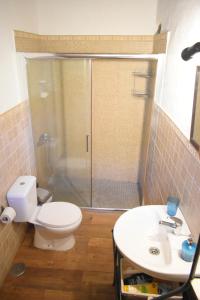 a bathroom with a shower and a toilet and a sink at Finca Mariola - Alpendre in San Bartolomé