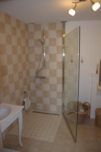 a bathroom with a shower and a sink at B&B La ferme de Berwausault in Herve