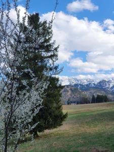 Paisagem natural perto do bed and breakfast