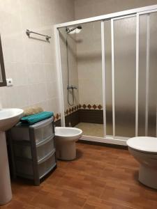 a bathroom with a shower and a toilet and a sink at GRAN CASA RURAL CON PATIO EN ENCINAREJO DE CÓRDOBA in Encinarejo De Córdoba +31 photos