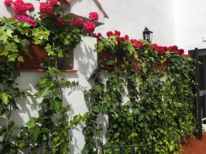 コルドバにあるApartamentos Alfonso XIIIの白壁に赤い花を咲かせたもの