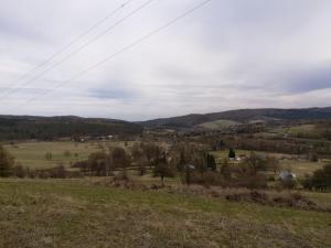 Przyroda w pobliżu tego domu w stylu alpejskim