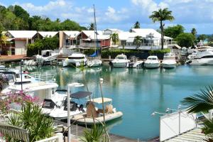 a group of boats docked in a marina with houses at Goldy House, logement vue mer , jacuzzi 10min port et aéroport in Baimbridge