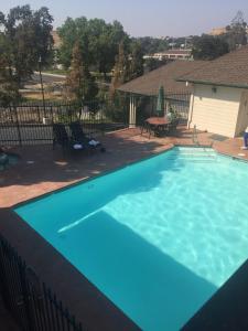 a swimming pool with blue water in a yard at Best Western Cedar Inn & Suites in Angels Camp