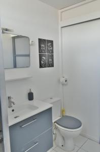 a bathroom with a toilet and a sink and a mirror at EBT House, appartement, jacuzzi vue mer, 10 min aéroport et port in Baimbridge +31 photos