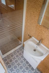 een badkamer met een witte wastafel en een douche bij Tiny House in Ootmarsum