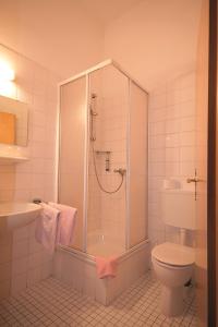 a bathroom with a shower and a toilet and a sink at Pension Barbara in Schierke