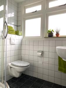 a bathroom with a toilet and a sink and a window at Apartment De Vliegenzwam in Oostwoud