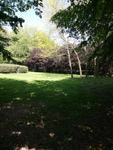 un campo de césped verde con árboles y arbustos en Nuvola West en Zottegem