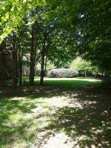 un parque con árboles, césped verde y un camino en Nuvola West en Zottegem