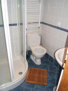 Koupelna v ubytování Apartmán Bedřichov