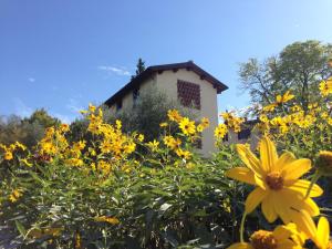 Ein Garten an der Unterkunft Il Poggiolo Delle Rose Bed&Breakfast