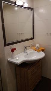 a bathroom with a white sink and a mirror at Ferienwohnung Rahm in Schwendau