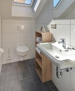 a bathroom with a sink and a toilet at Boardinghouse Jungwirth-Wohnzeit in Demling