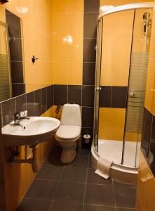 La salle de bains est pourvue d'un lavabo, de toilettes et d'une douche. dans l'établissement Karczma Młyn, à Kamienica