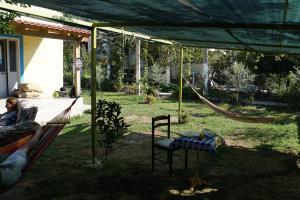 Aed väljaspool majutusasutust Elbasan Backpacker Hostel