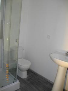 Aufferville的住宿－Calme 2 Pièces en Duplex，一间带卫生间和水槽的浴室