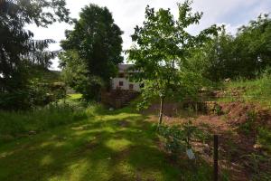 a yard with trees and a house in the background at Serendipity For All Apartments in Saint Die