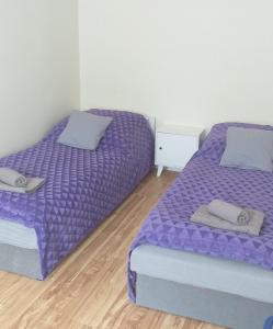 2 łóżka w pokoju z fioletową pościelą i poduszkami w obiekcie Mieszkanie u Dominiki INPIW01 w mieście Piwniczna
