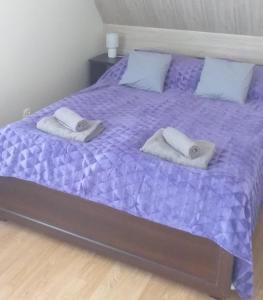 fioletowe łóżko z dwoma poduszkami na górze w obiekcie Mieszkanie u Dominiki INPIW01 w mieście Piwniczna