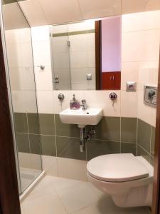 a bathroom with a toilet and a sink and a mirror at Agroturystyka Kasia in Podwilk +17 photos
