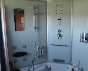 a shower in a bathroom with a tub at Apartment Rappitsch in Sankt Marein bei Knittelfeld