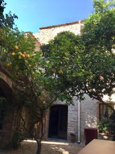 an orange tree in front of a building at La Vieille Demeure in Torreilles