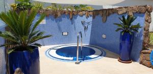 a small pool in a room with two plants at Birdcage Gay Men Resort and Lifestyle Hotel in Playa del Ingles