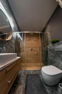 a bathroom with a shower with a toilet and a sink at Apartament Czapla nad Jeziorakiem in Iława
