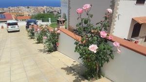 una fila di rose rosa su un muro di Villa Fontana a Tropea
