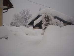 Appartement Zweikofelblick durante l'inverno
