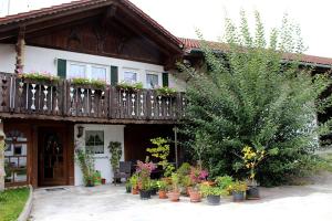 a house with potted plants in front of it at appartement-stetten in Stetten