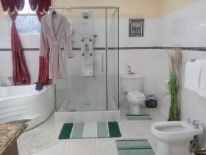 a bathroom with a shower and a toilet and a sink at Royal Escape in Anse La Raye