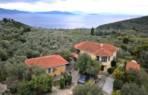 Táj Show holiday homes közelében