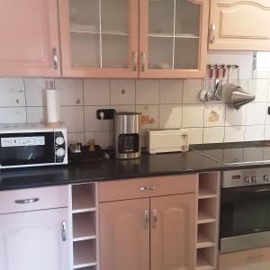 Kuchyň nebo kuchyňský kout v ubytování Pannon Panzió Restaurant